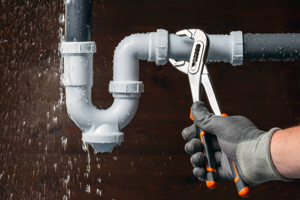 Professional Plumbing technician working in Eleroy, IL